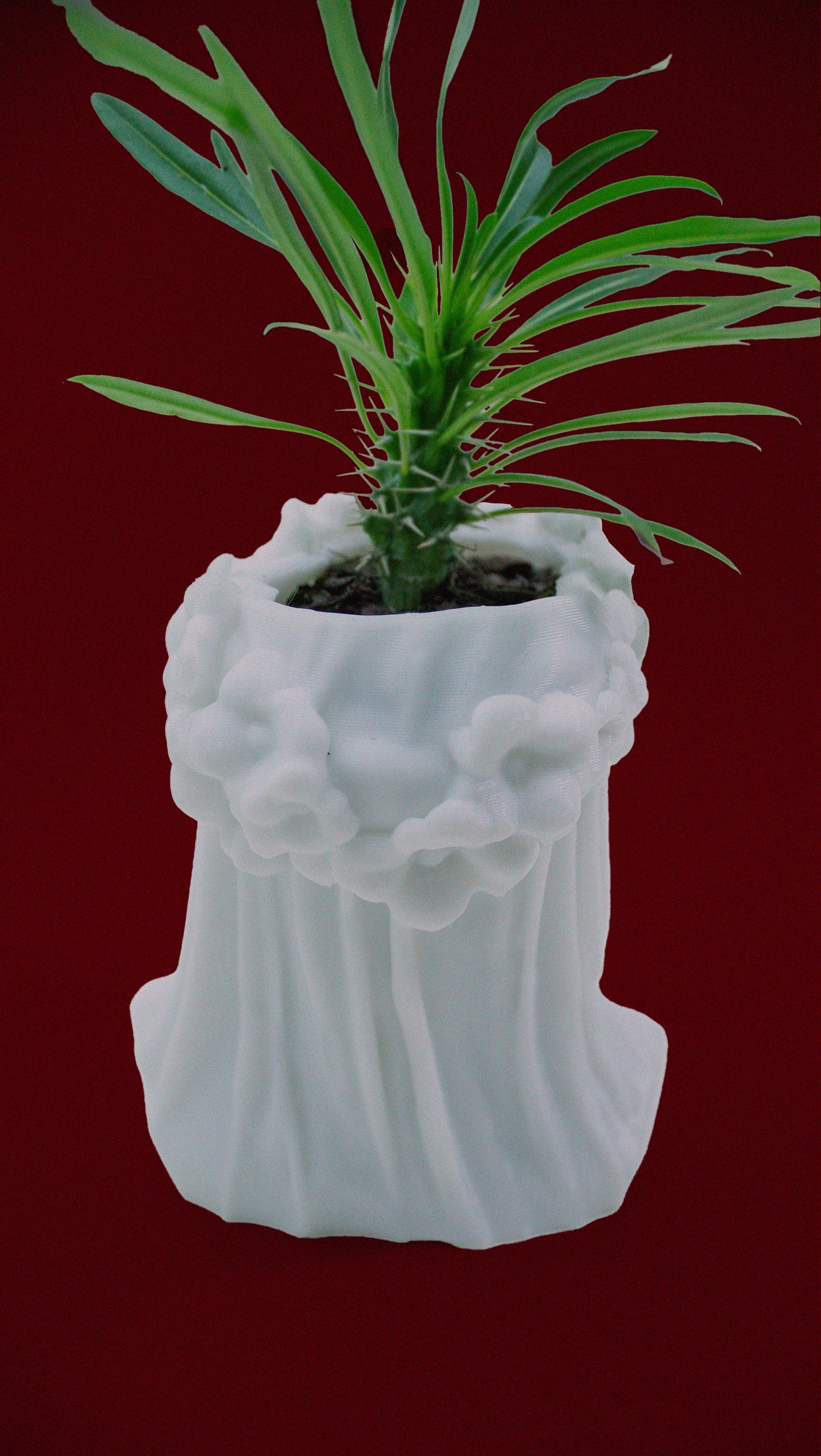 Veiled Lady Bust Planter - 3D Printed