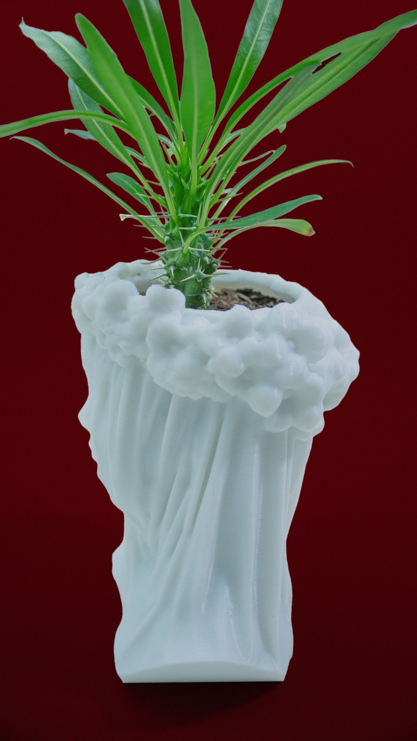Veiled Lady Bust Planter - 3D Printed