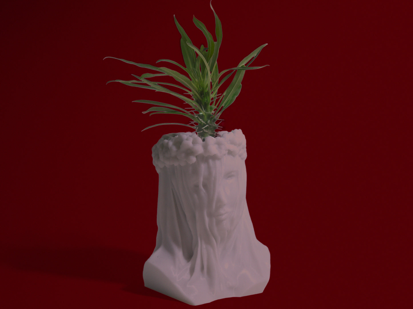 Veiled Lady Bust Planter - 3D Printed