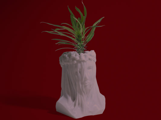 Veiled Lady Bust Planter - 3D Printed