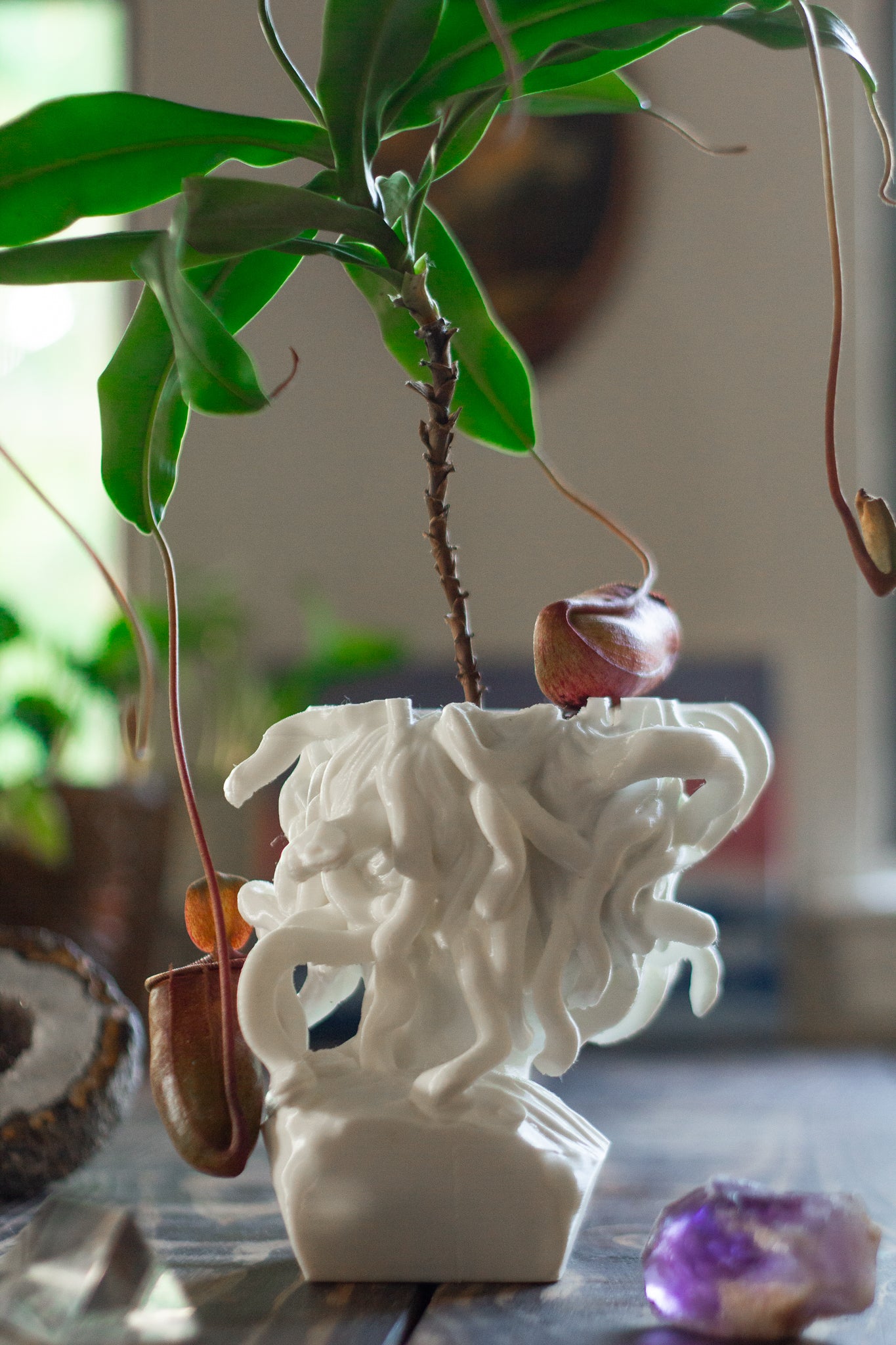 Medusa Planter - 3D Printed