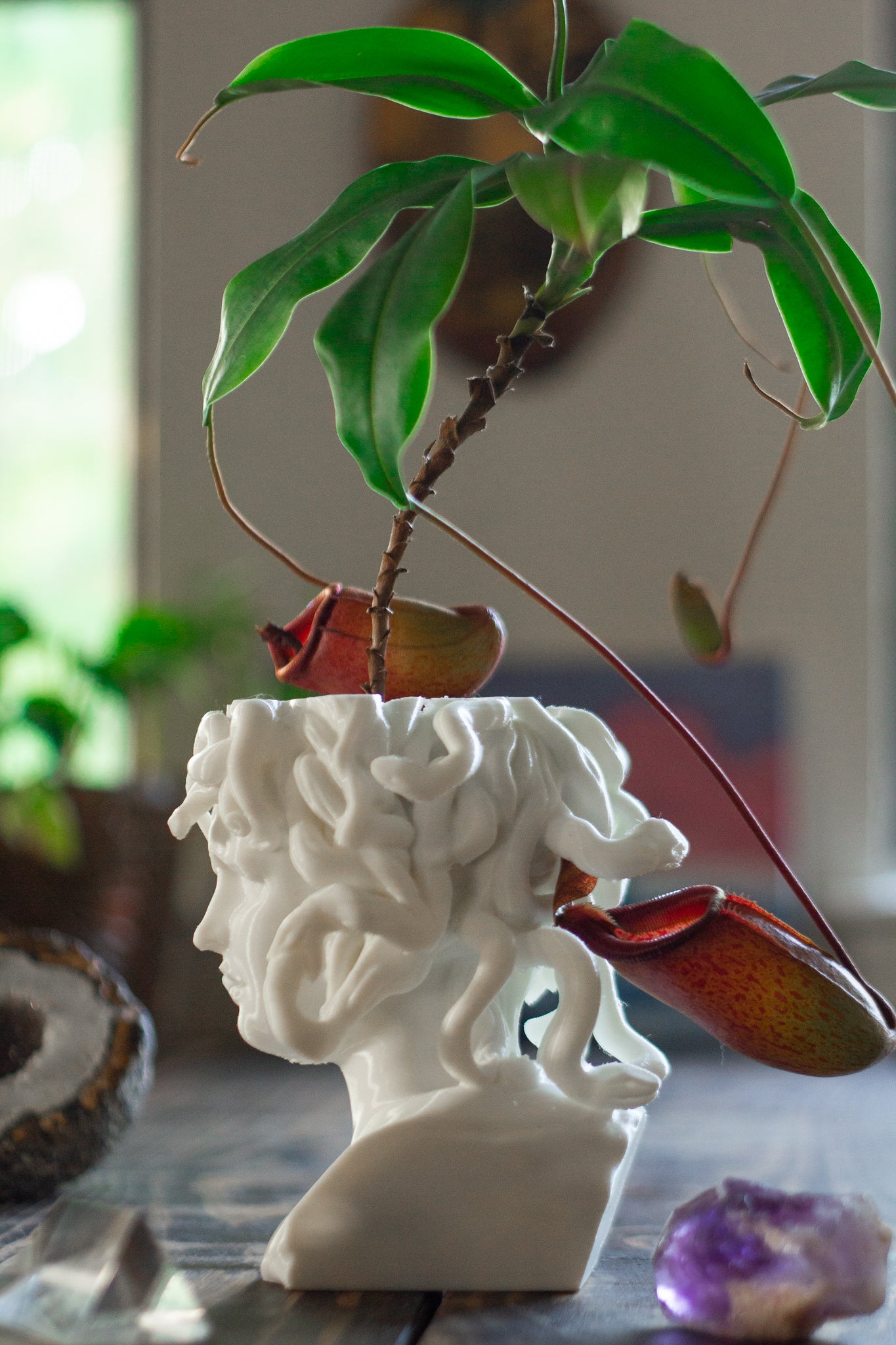 Medusa Planter - 3D Printed
