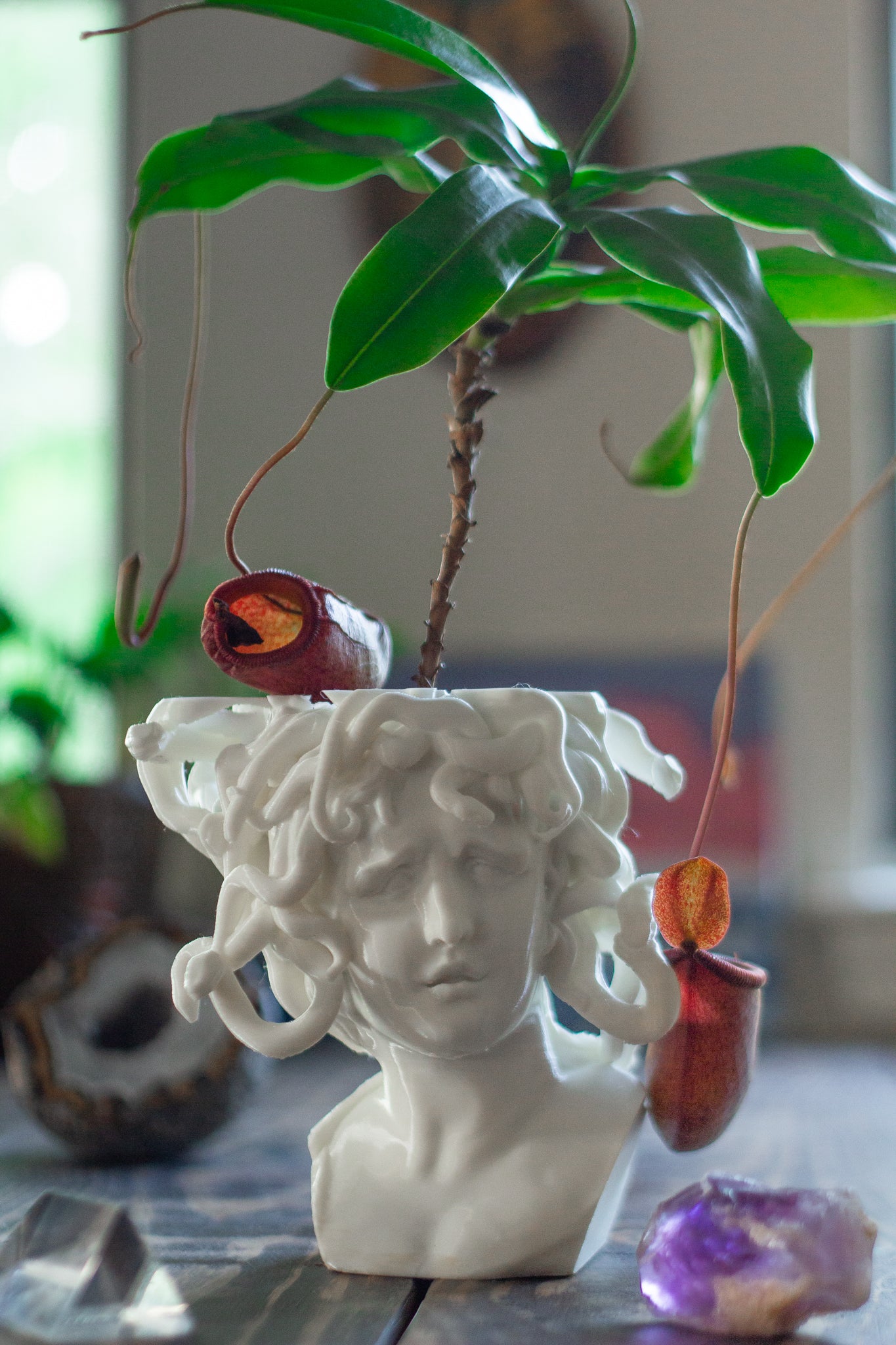 Medusa Planter - 3D Printed