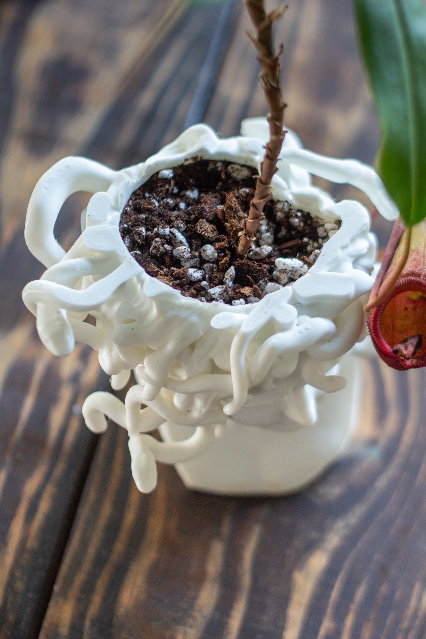 Medusa Planter - 3D Printed