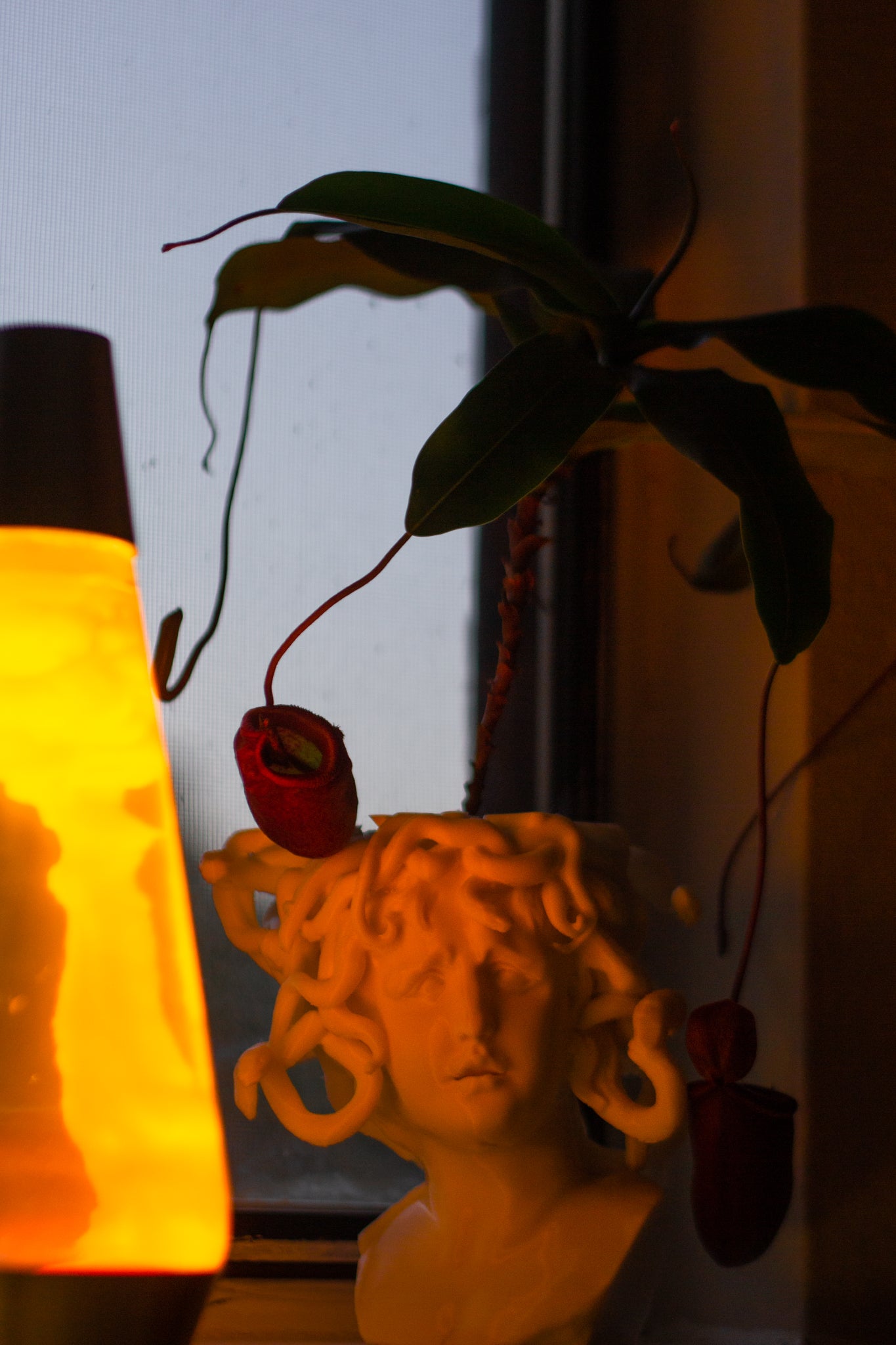 Medusa Planter - 3D Printed