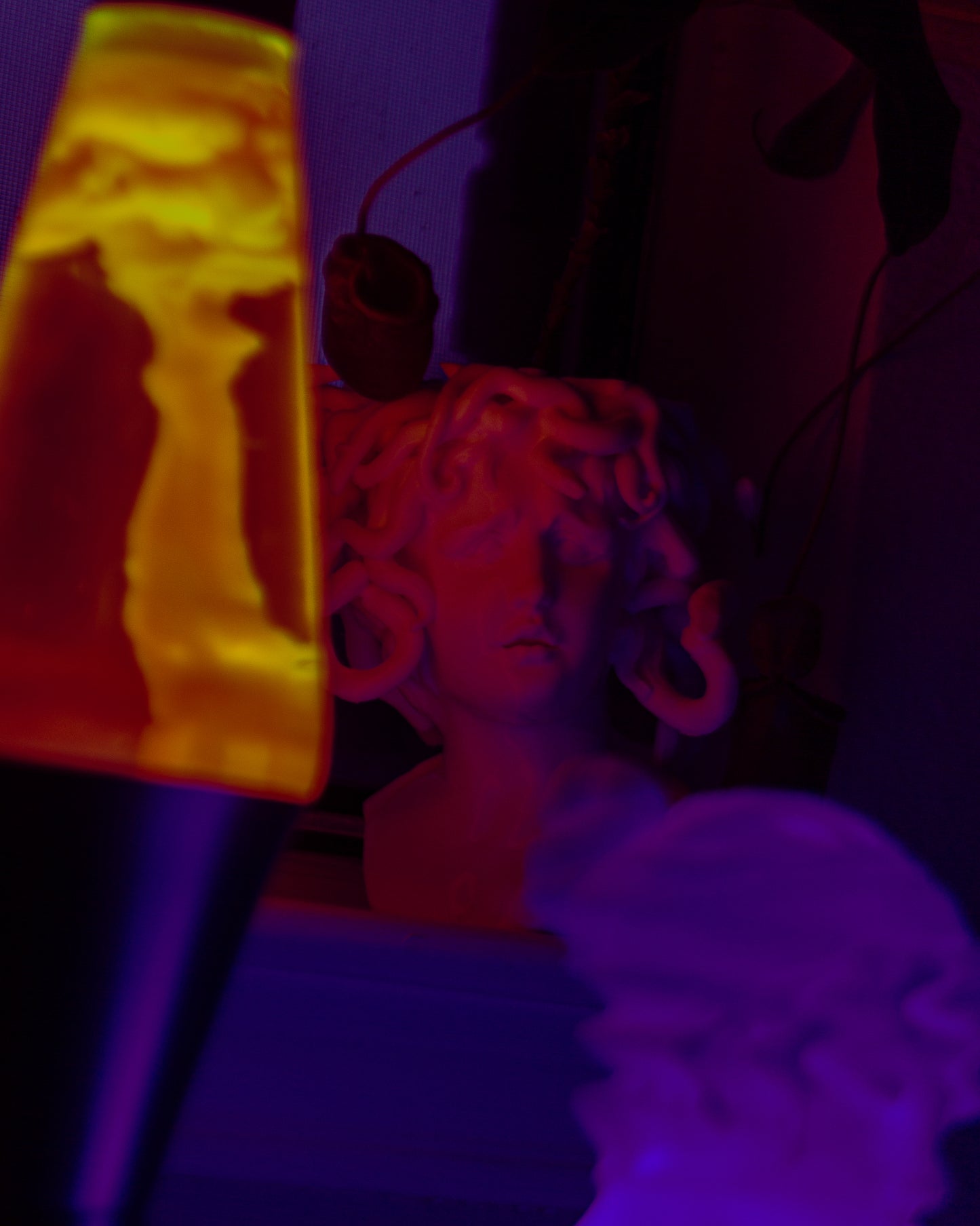 Medusa Planter - 3D Printed