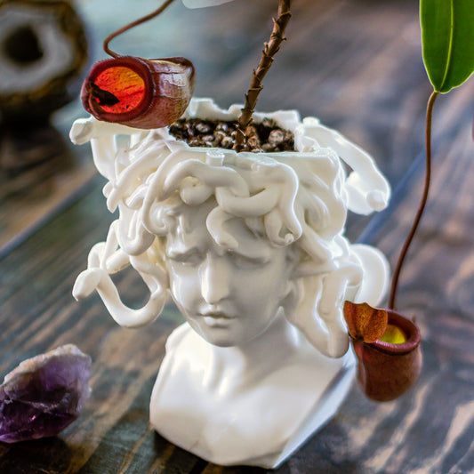 Medusa Planter - 3D Printed