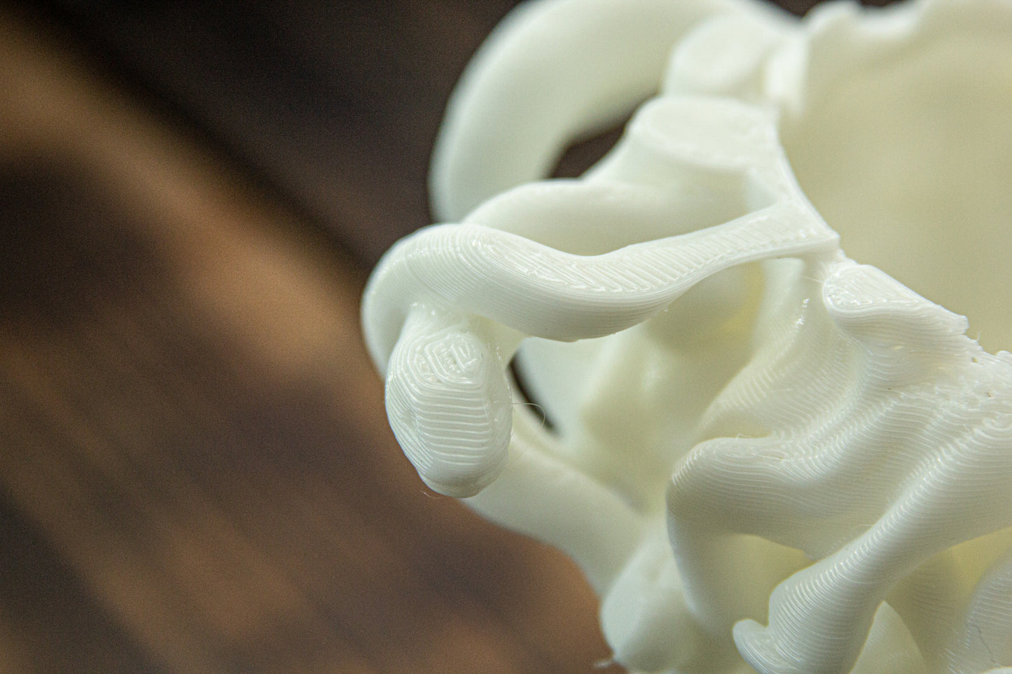 Medusa Planter - 3D Printed