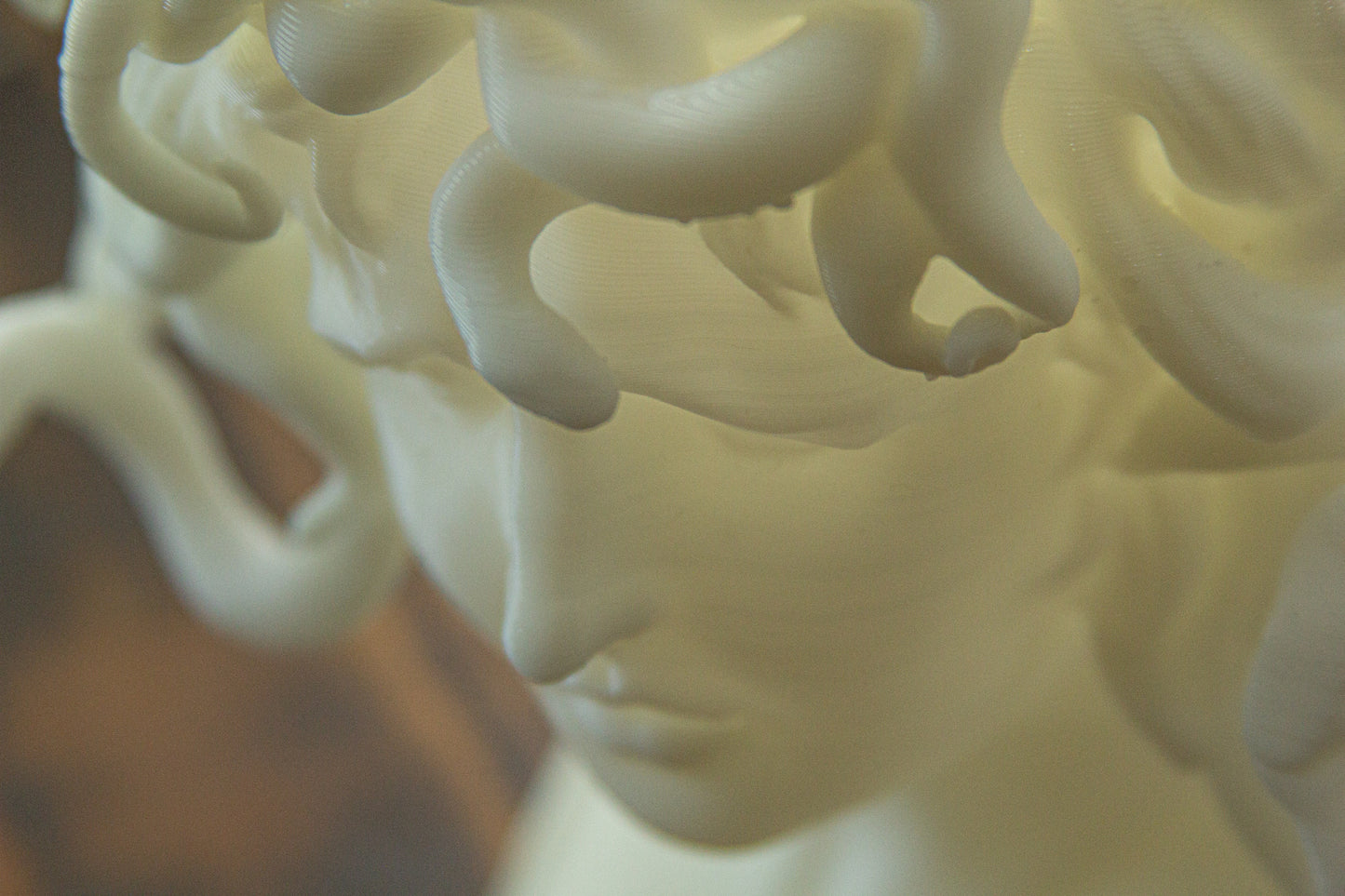 Medusa Planter - 3D Printed