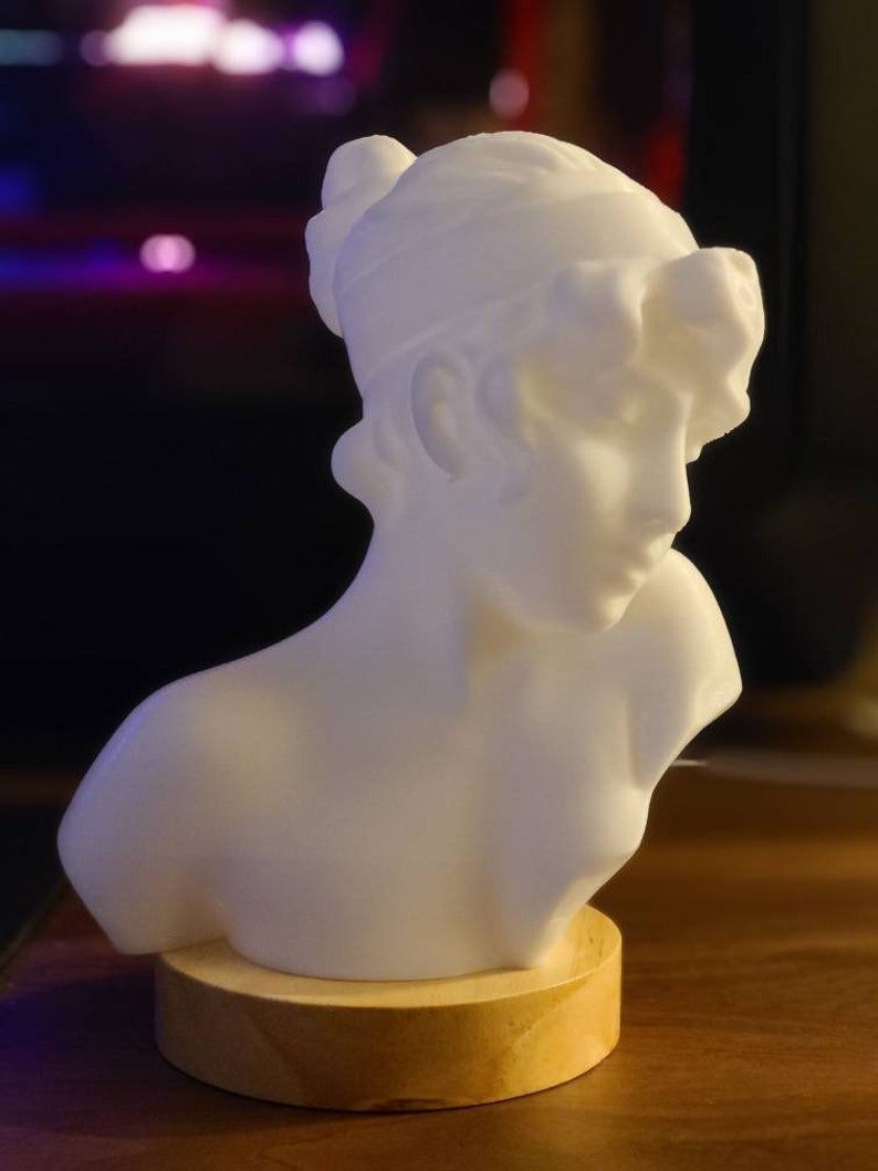Sappho Bust Lamp - 3D Printed