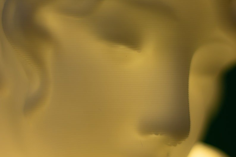 Sappho Bust Lamp - 3D Printed