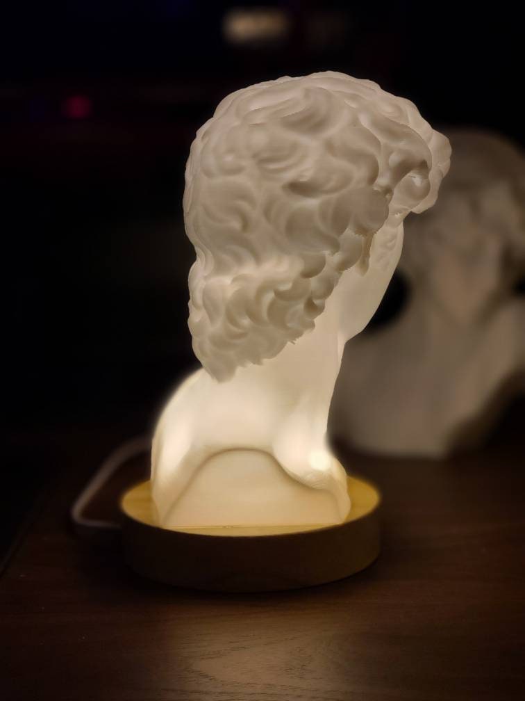 David Bust Lamp - Warm White - 3D Printed